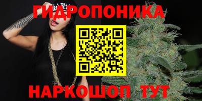 амф Кунгур