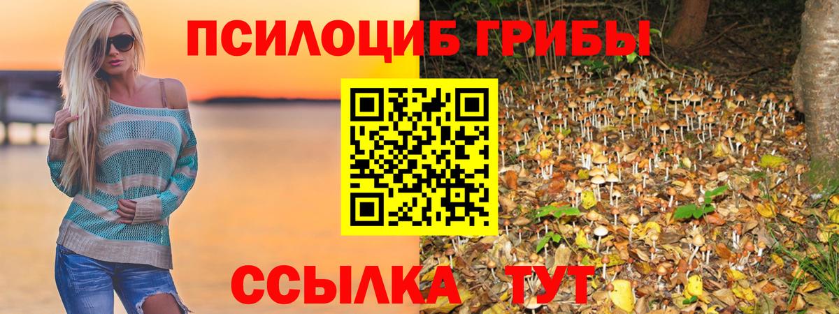 купить наркотики сайты  Вход с VPN  Галлюциногенные грибы ЛСД  Зеленокумск  Псилоцибиновые грибы Psilocybine cubensis 